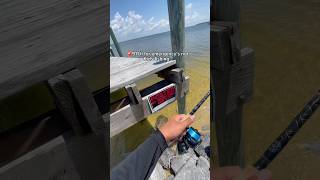 911 for emergencies not fishing…👀 #fishing #roadto100k
