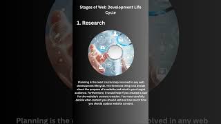 Web Development Life Cycle: A Complete Guide of 2023