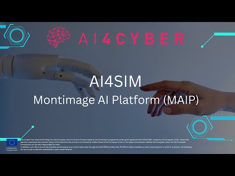 AI4CYBER: AI4SIM - Montimage AI Platform (MAIP)