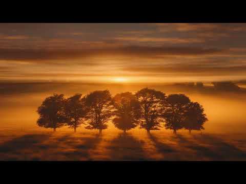 Peaceful Dream | Liesbet Leroy & Anam