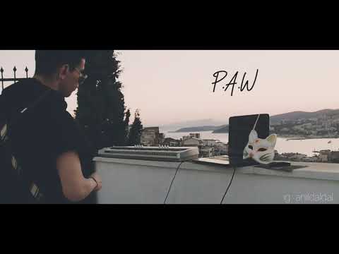 Ａｎıｌ　Ｅｍｒｅ　Ｄａｌｄａｌ　－　Ｃａｔ　Ｉｎ　ｔｈｅ　Ｈｏｕｓｅ　，　Ｅｐｉｓｏｄｅ　：　１　|　Ｐ．Ａ．Ｗ