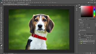 How to remove Background using Object Selection Tool + Vector Mask in Photoshop