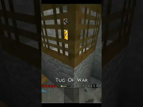 Short Form Video