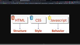 learn HTML 2023