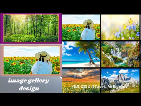 Coding Tutorial. Mastering the Art of Dynamic Image Galleries: HTML, CSS, and JavaScript Showcase.