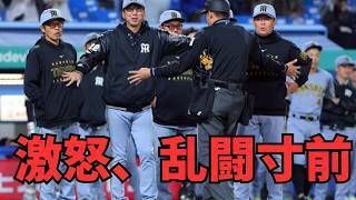 【神宮騒然】藤川監督が激怒！森下へのビーンボールで乱闘寸前の“神対応”。「乱闘じゃない」ポーズに隠された近本骨折への怒りと、池山監督への手出し。指揮官が守った“猛虎のプライド”を徹底解説
