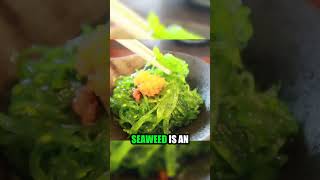 Why Seaweed is the Ultimate Sustainable Superfood