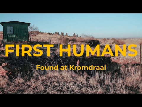 Kromdraai Discovery: Oldest Human Ancestor Uncovered