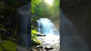 Take a quick 7-second escape  relaxation#asmr#waterfall #stressrelief #shorts #viralvideo #nature