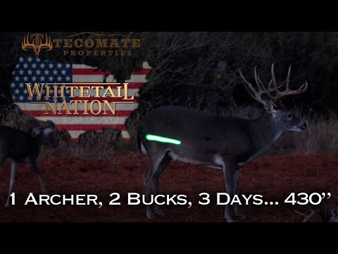 1 Archer, 2 Bucks, 3 Days, 430 Inches!