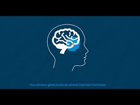 AACE Patient Guide to Rare Endocrine Diseases: Growth Hormone Deficiency