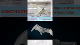 how to make ornithopter #ornithology #drone #dc #scienceproject #fly #bird #howtomake