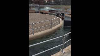 Horse Tank