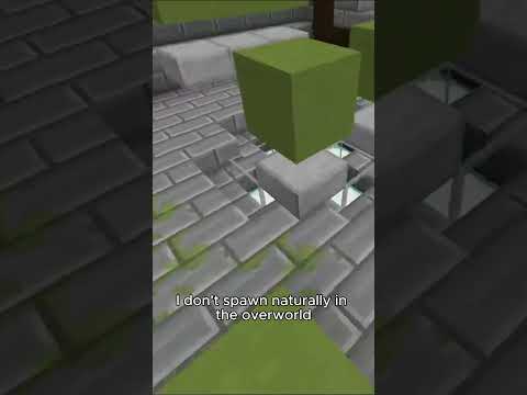 DON'T CHECK THE SOUND!!!!!   #minecraft #guesstheitem