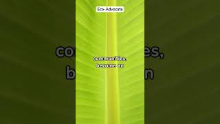 Green Tech Innovators