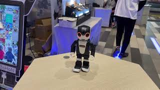 Pet Robots in Japan