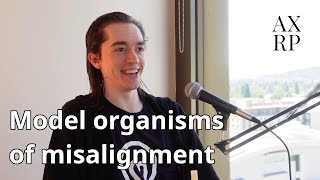 39 - Evan Hubinger on Model Organisms of Misalignment