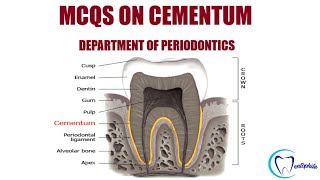 MCQs on Cementum || Periodontics || Dentophile
