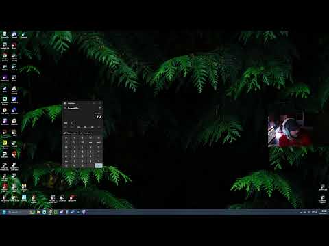 Another streamer night