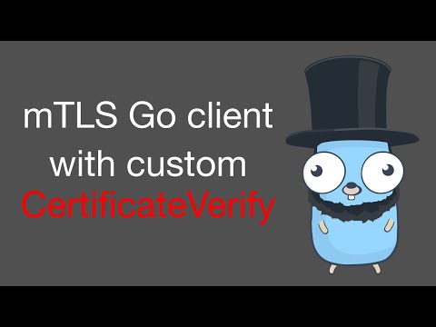 Mutual TLS (mTLS) Go client with custom certificate signer