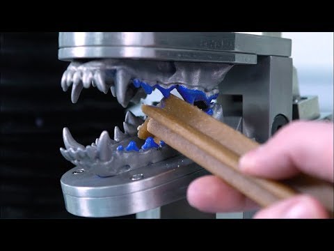 Canine Oral Care: The Chewing Robot