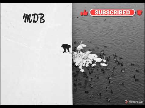😍Sia😍- 🎼Chandelier 🎼(Stoto Remix) 🎶NoCopyrightmusic MDB