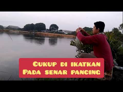 Mancing jaring,begini cara menggunakan jaring pancing #fishing #jaringikan