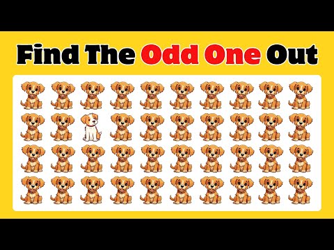Odd Man Out Challenge: Spot the Difference! 🔍 🦊🐶🐮 | Emoji Quiz #animaledition