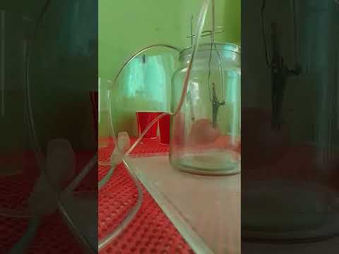 a light I made experiment .Cool fun and dangers