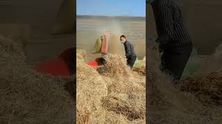 #shorts #agriculture #agritools #farming2024 #AdvanceAgriReactions