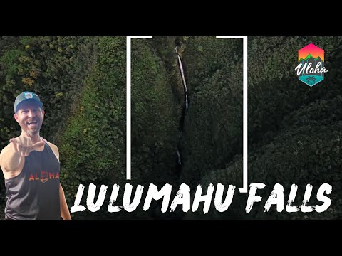 Hiking Lulumahu Falls with Uloha
