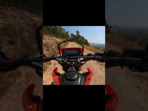 Hopping Through Mountain Forest Trails! #jump #adrenalinejunkie  #straightpipe #motorcycle #crf300l