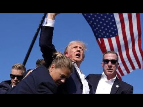Trump Media Stock Price Surges!!