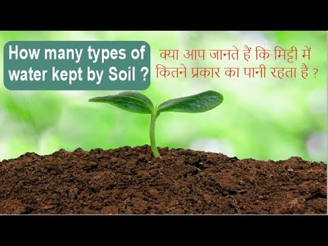 Soil contains how many types of water content