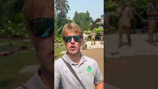 How to build steps like a pro! Subscribe to see the full length video coming soon!