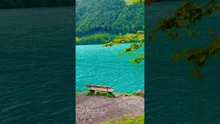 Switzerland 🇨🇭 #nature #foryou #shortsfeed #explore #mountains #suisse #switzerland #viral #shorts