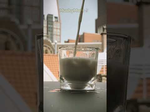 Mushroom Coffee Like You’ve NEVER Tasted Before!