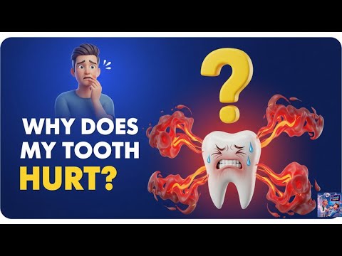 ✅ Why does my tooth hurt? / Causes of tooth pain 😳👈