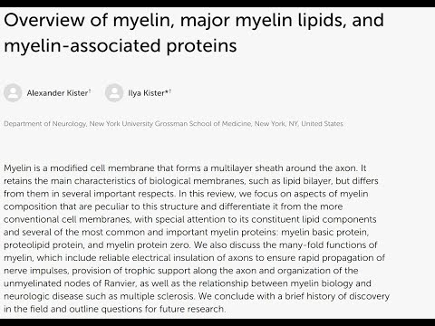 The molecular architecture of myelin - an overview
