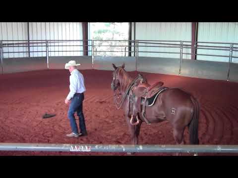 Better Horses TV: Bungee Tie Down Demo