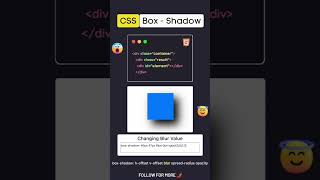 CSS Box Properties