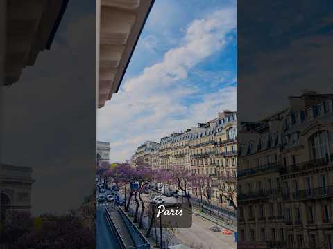 Romantic street of Paris 🇫🇷 #shorts #france #travel #french #trending #europe #ytshorts #love