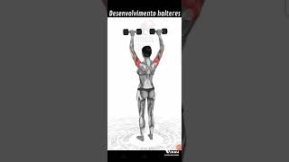 Desenvolvimento halteres