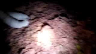 Exhaust fan problems found during Valparaiso, Indiana home inspection | United Home Inspections