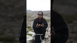 Healing Herbs of Ladakh and Tibet
