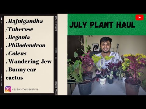 July plant haul