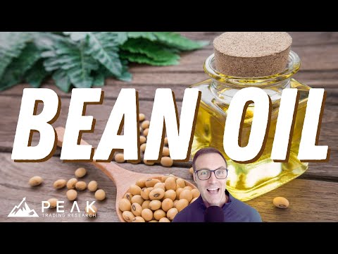 Bean Oil RSI Trend Follower 📈 | Strategy of the Month August 2024