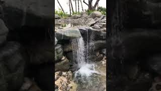 waterfall #relaxingwater #naturesoundscape #calmambience #studywithme #sleepwithnature #focusaid