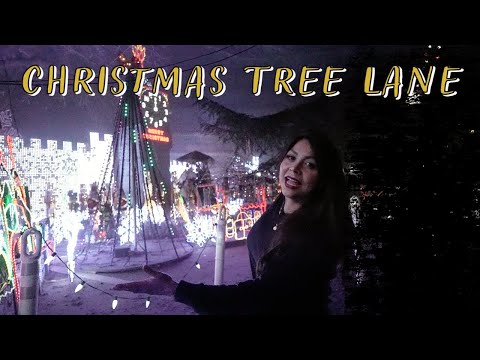 Fresno's Christmas Tree Lane