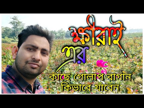 Khirai ক্ষীরাই এর কাছে গোলাপ বাগান । Khirai ar Kache Golap Bagan Kivabe Jaben// #Roos_Garden #Khirai